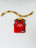 Custom Raptors Jersey, 18 months