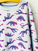 Tie-Dye Dino Sweatshirt, 14-16 years