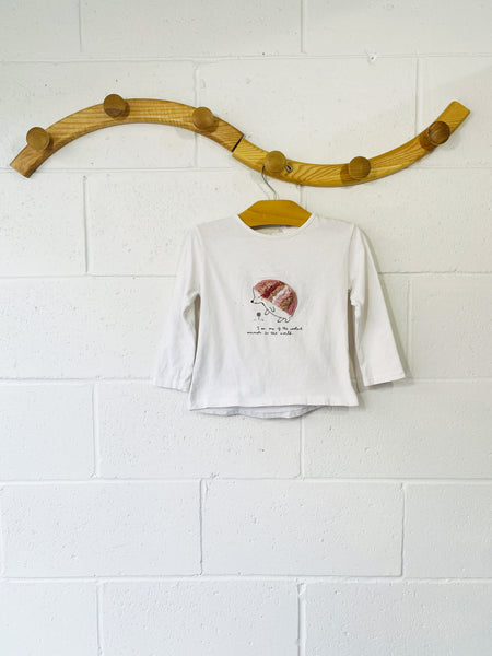 Little Hedgehog Long Sleeve, 2-3 years