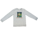 Dino Hologram Sweatshirt, 6-8 years